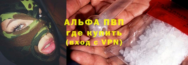 крисы Каменногорск