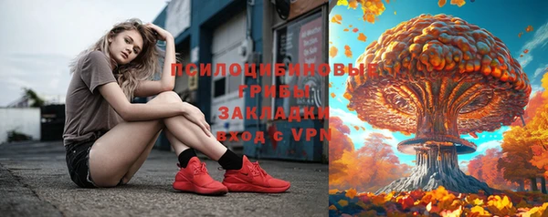 крисы Каменногорск