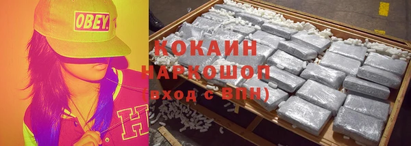 крисы Каменногорск