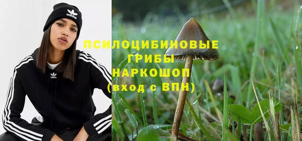 прущая мука Каменка