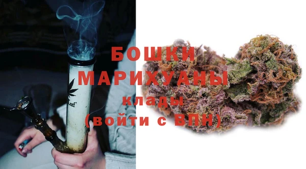 крисы Каменногорск
